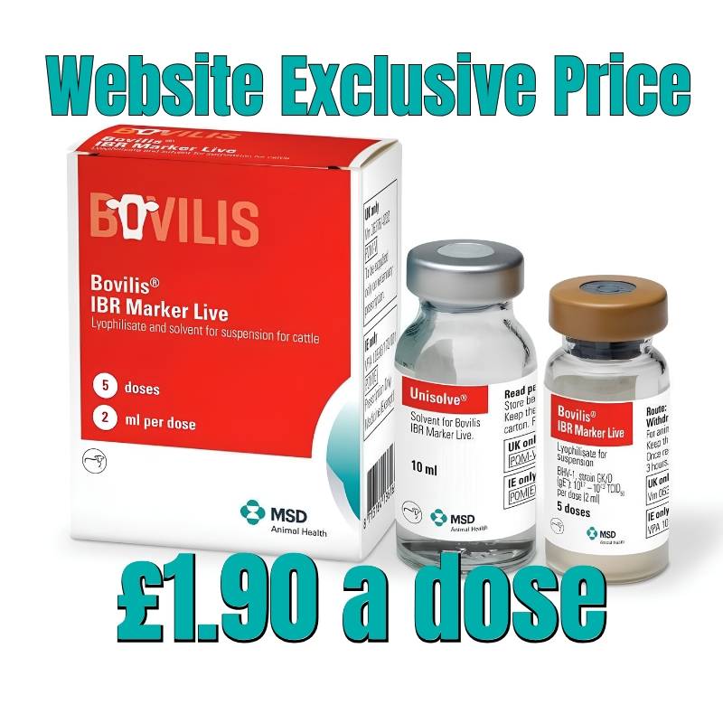 Bovillis IBR