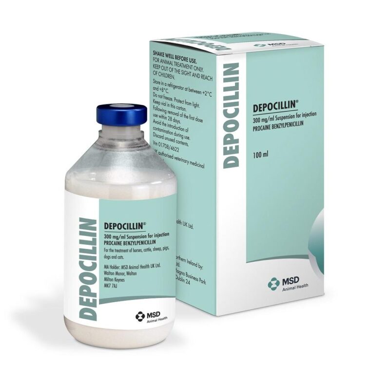 depocillin new