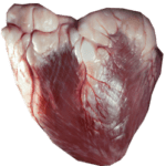 heart2