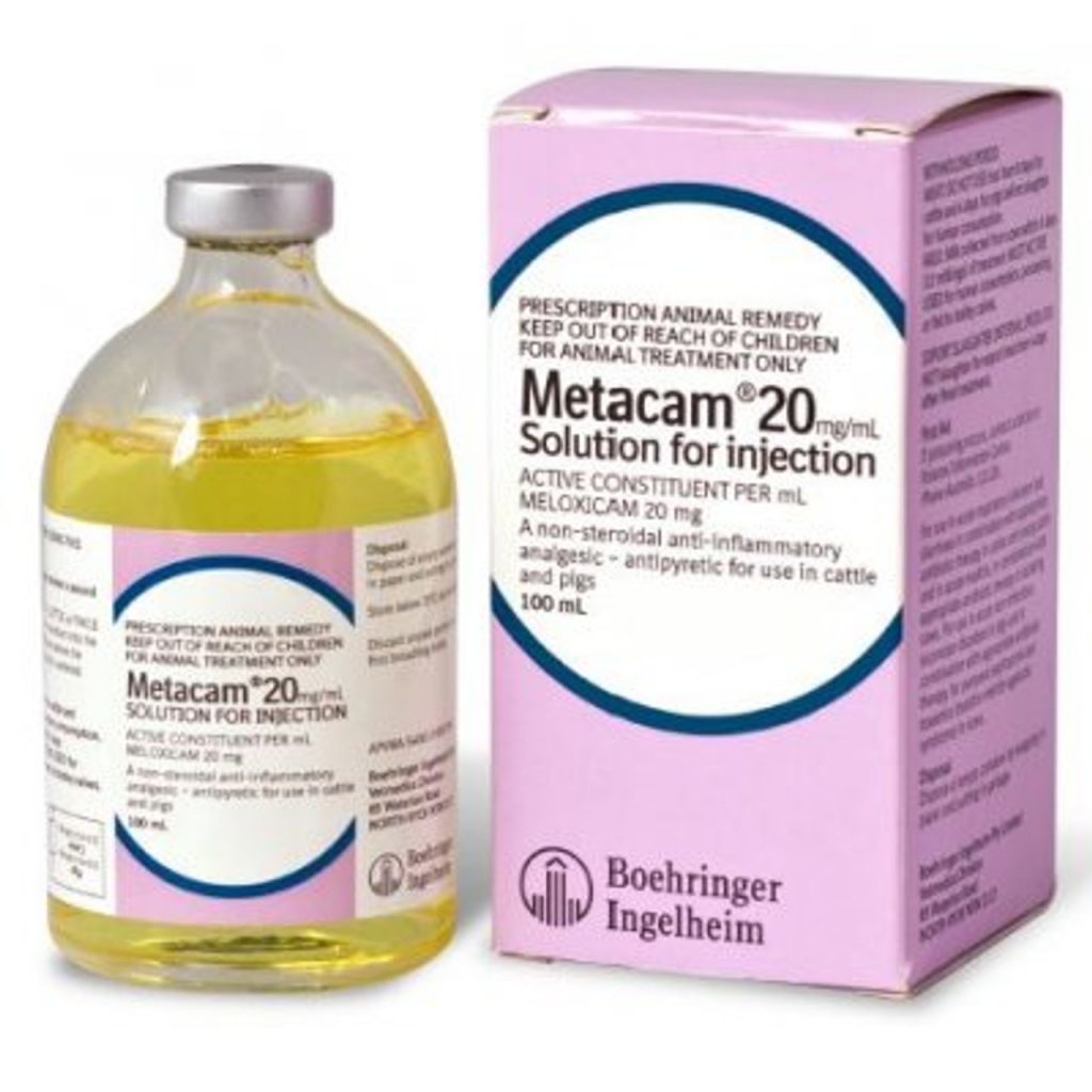 Metacam Farm Vet Services is an antiinflammatory drug