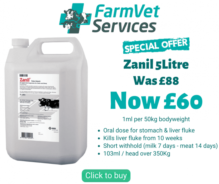Zanil offer