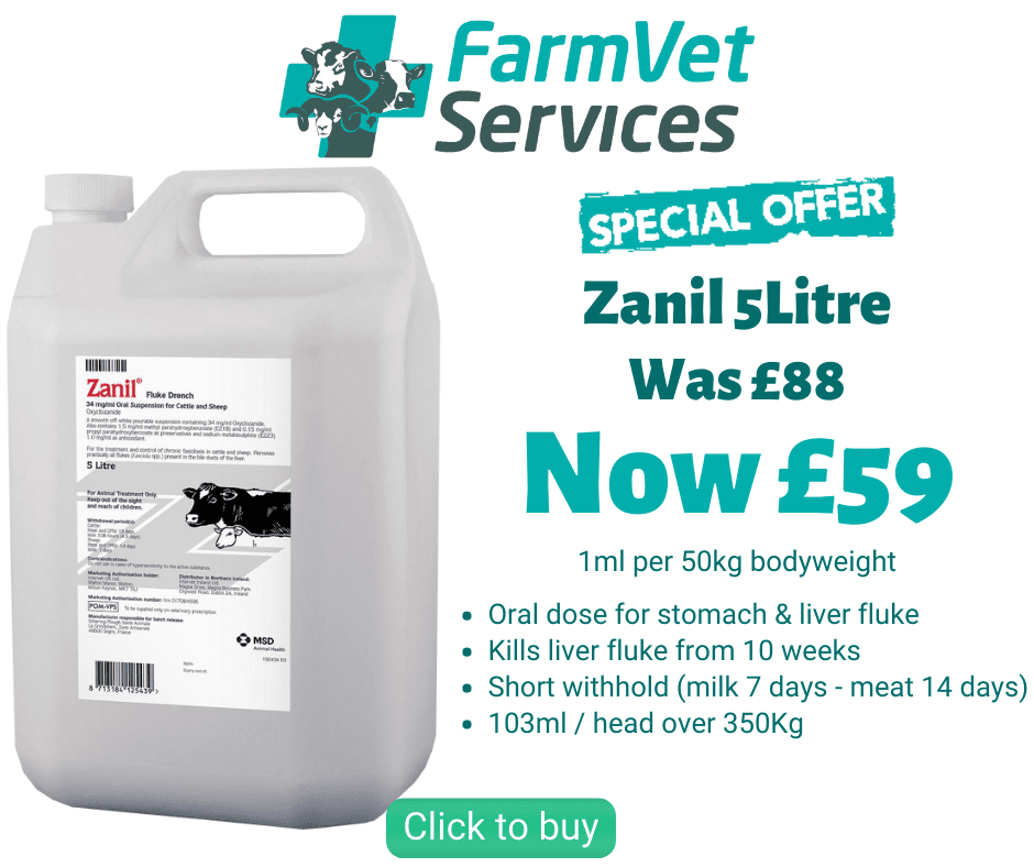 Zanil offer2