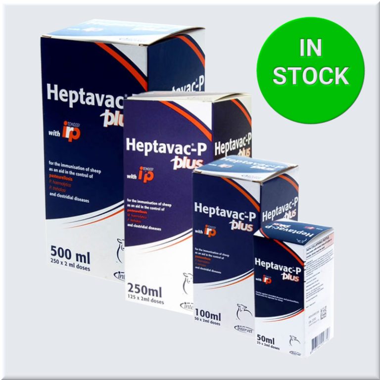 Home2 - Personal Service With A Pro-Active Approach