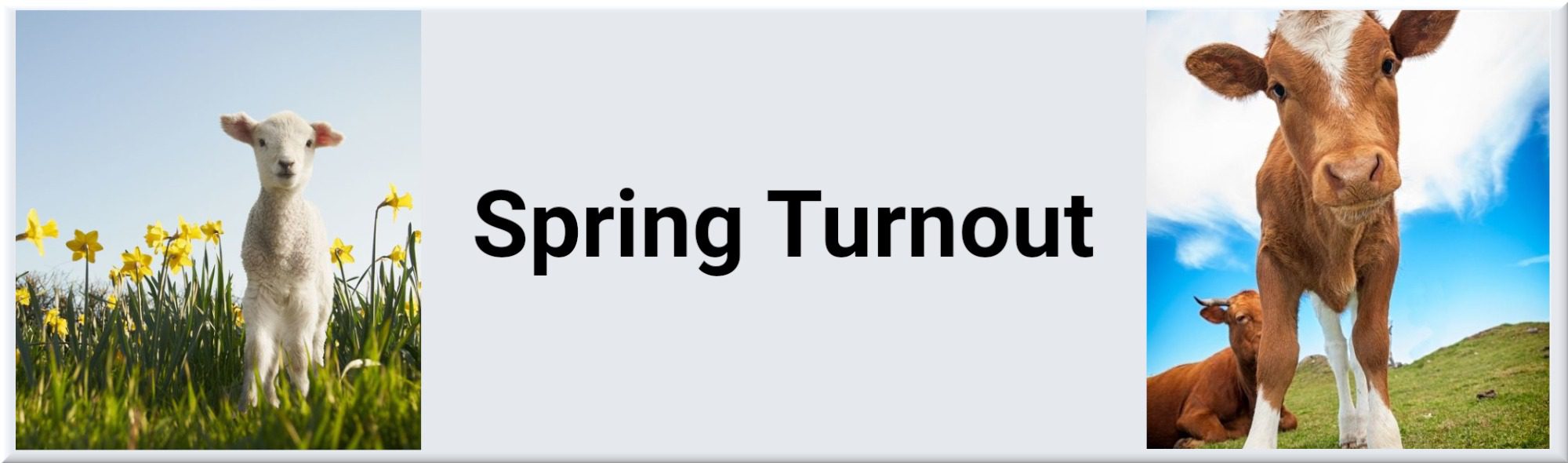 springturnout
