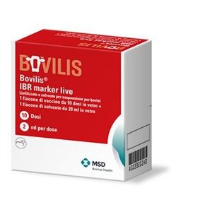 bovilis ibr new