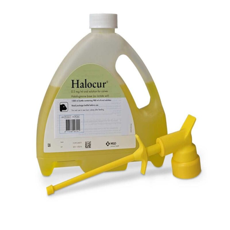 halocur