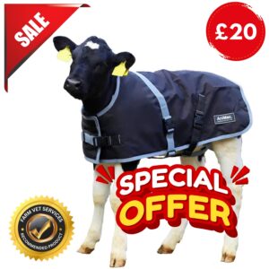 Calf Jacket Sale