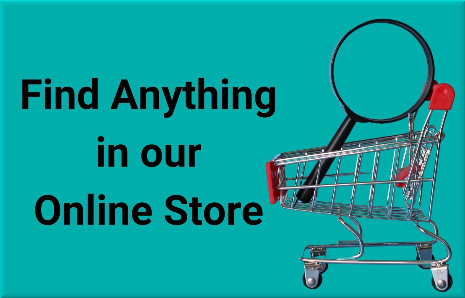 Find Anything search
