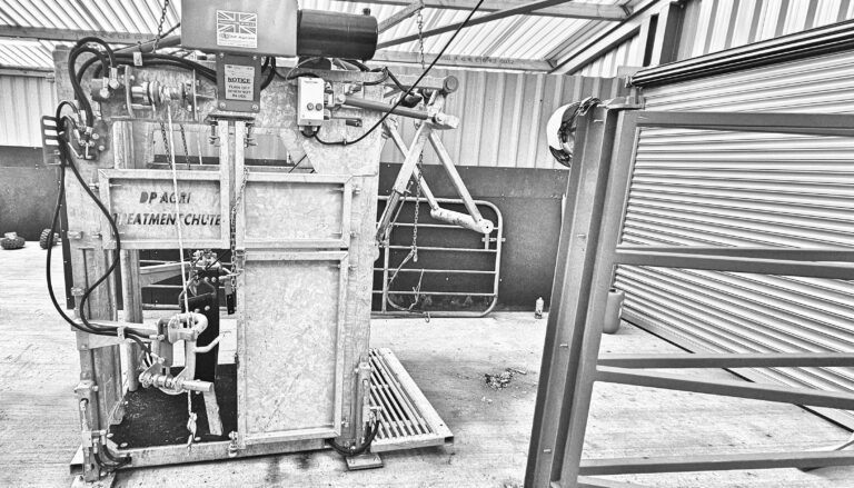 crush8 bnw scaled