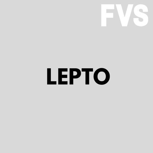 lepto