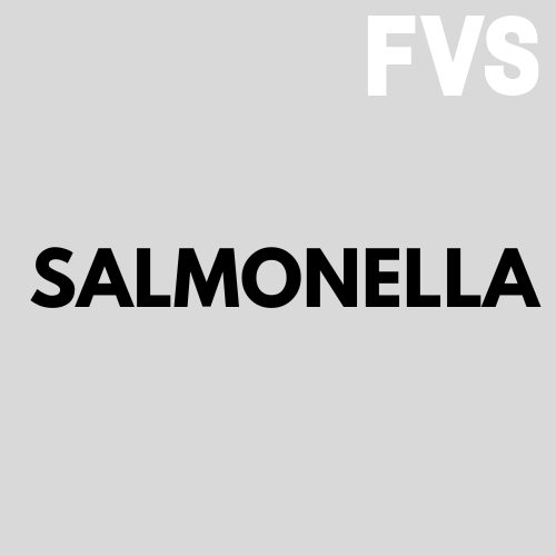 Salmonella logo