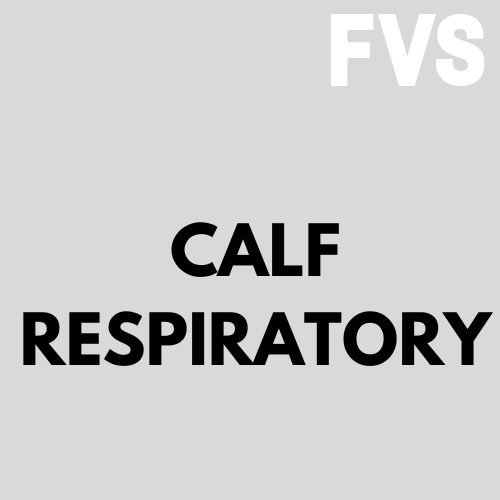 calf respiratory