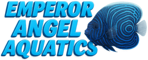 eaaquatics