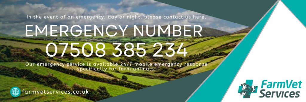 Emergency Contact Banner