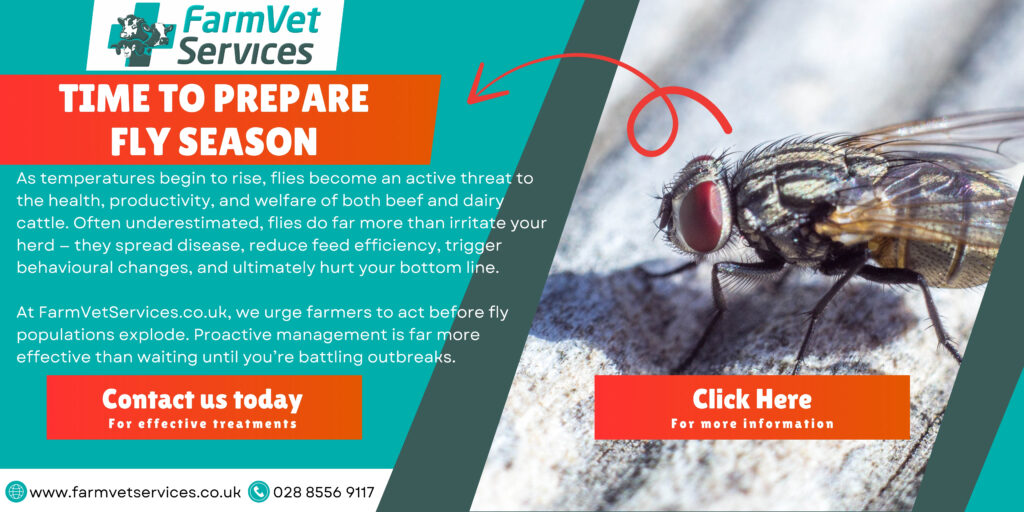 fly control