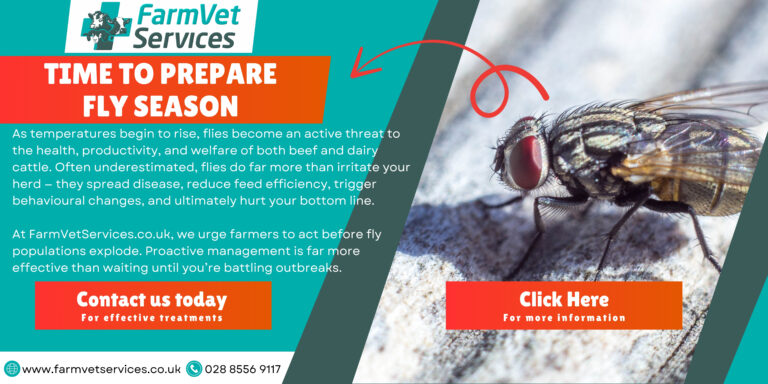 fly control