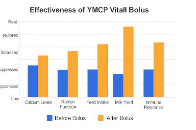 YMCP Vitall Bolus graph