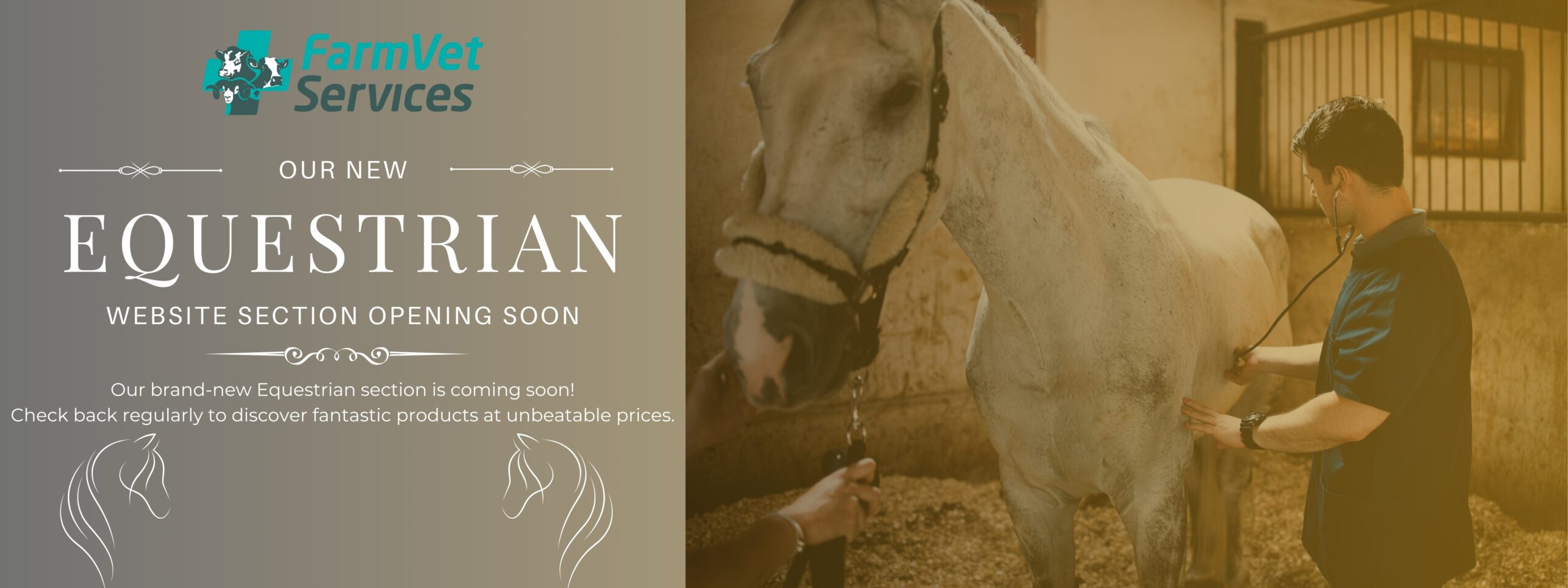 website equestrian section banner