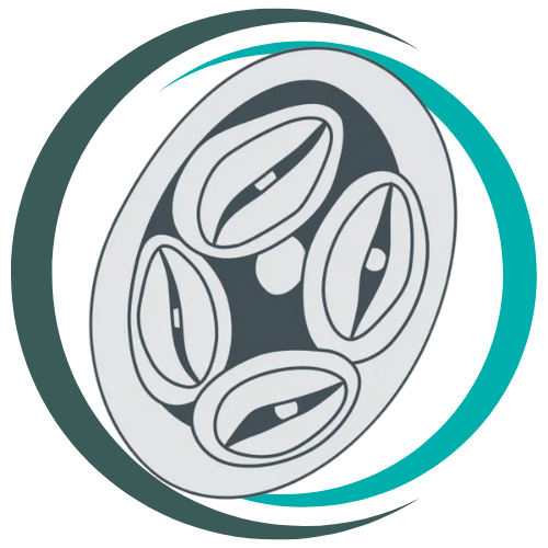 Coccidiosis logo
