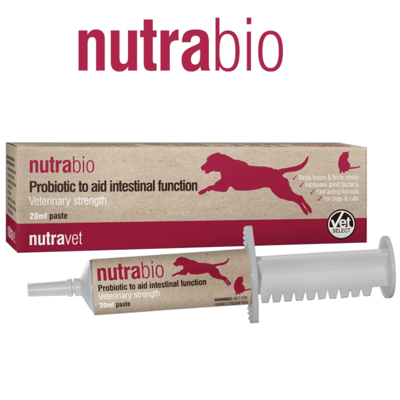 Nutrabio Probiotic Dogs & Cats 20ml