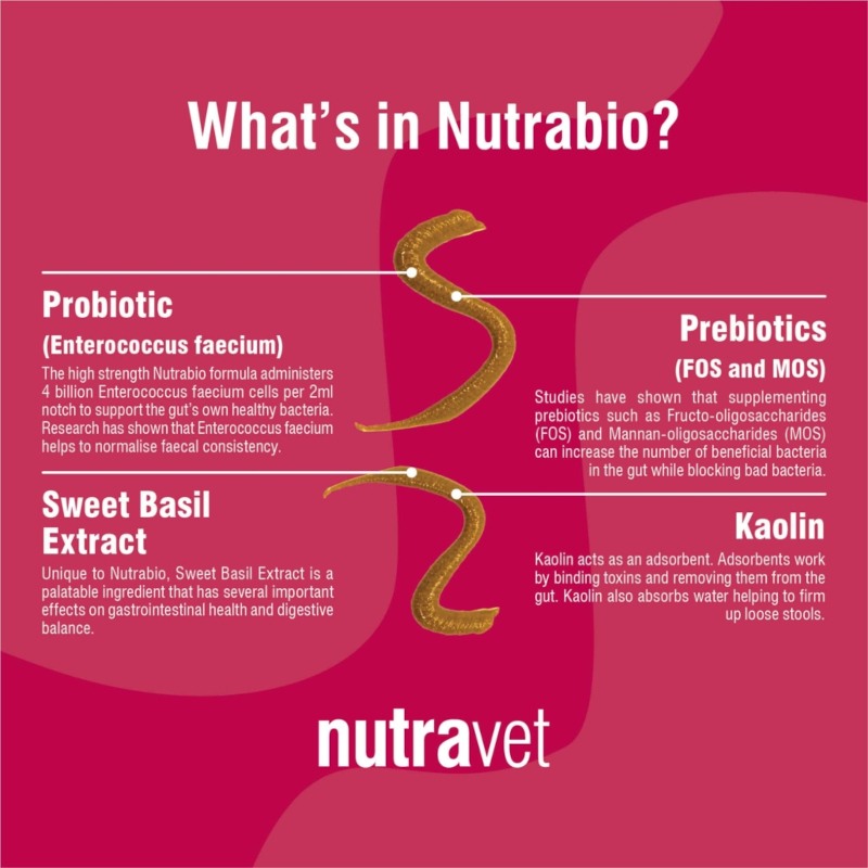 Nutrabio Probiotic Dogs & Cats 20ml - Image 5