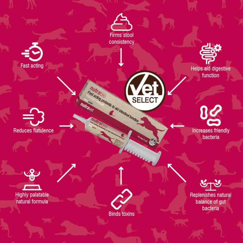 Nutrabio Probiotic Dogs & Cats 20ml - Image 4