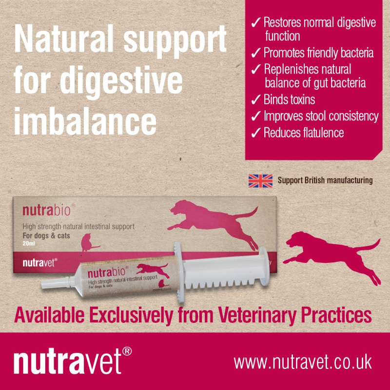 Nutrabio Probiotic Dogs & Cats 20ml - Image 3