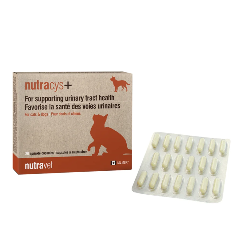 Nutracys+ Dogs & Cats Capsules