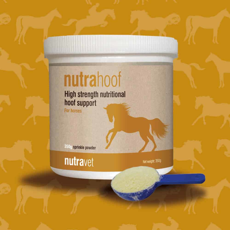 Nutrahoof Equine 350g Hoof Supplement - Image 2
