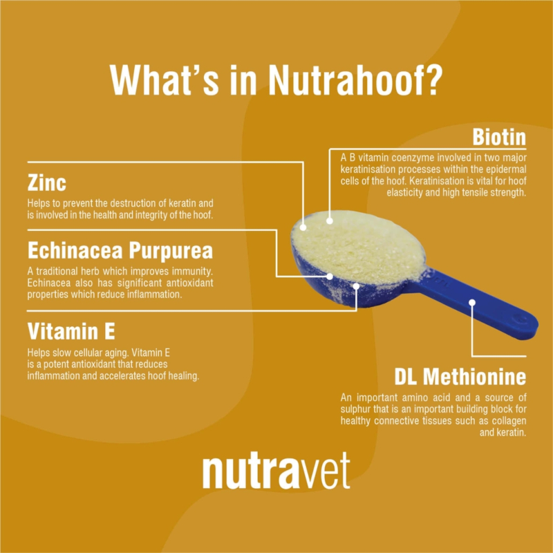 Nutrahoof Equine 350g Hoof Supplement - Image 3