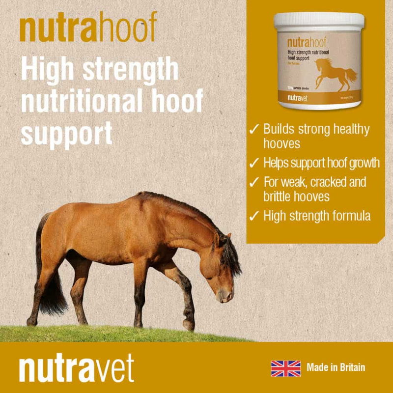Nutrahoof Equine 350g Hoof Supplement - Image 5