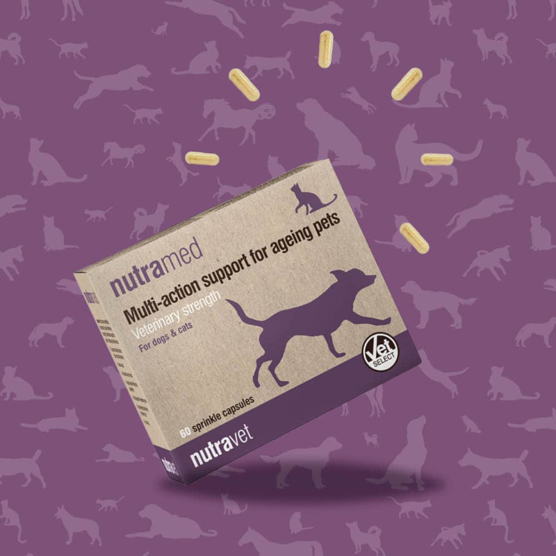 Nutramed Dogs & Cats Capsules - Image 2