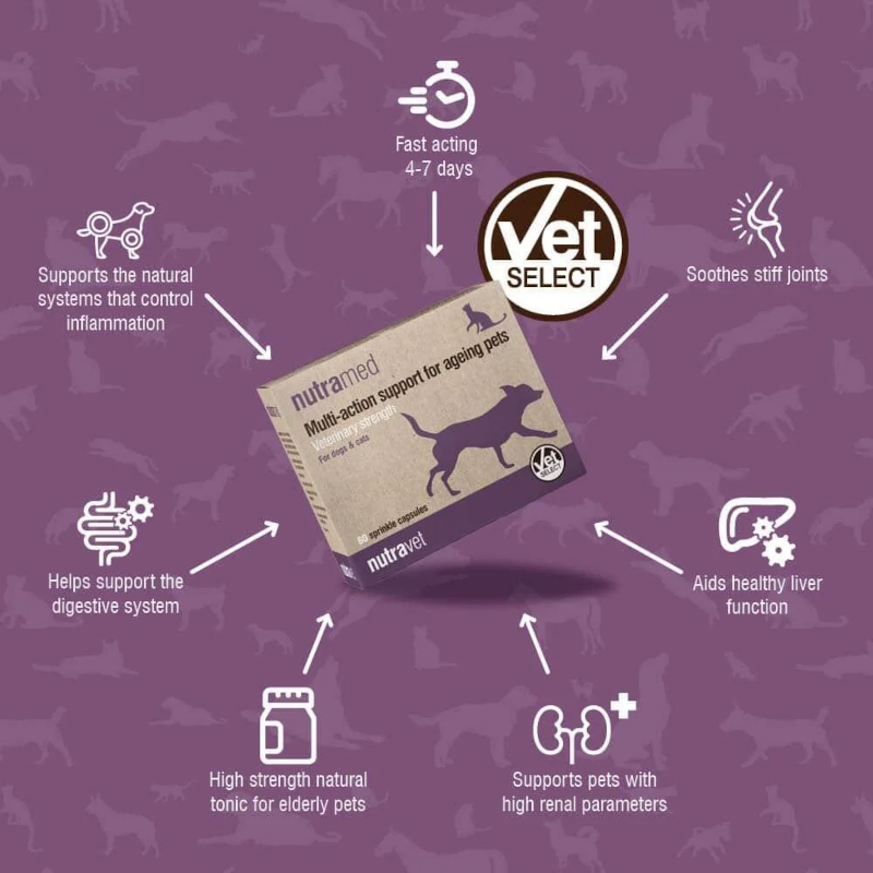 Nutramed Dogs & Cats Capsules - Image 4