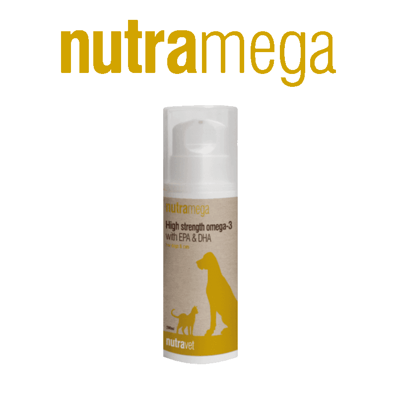 Nutramega Oil omega-3 for dogs and cats