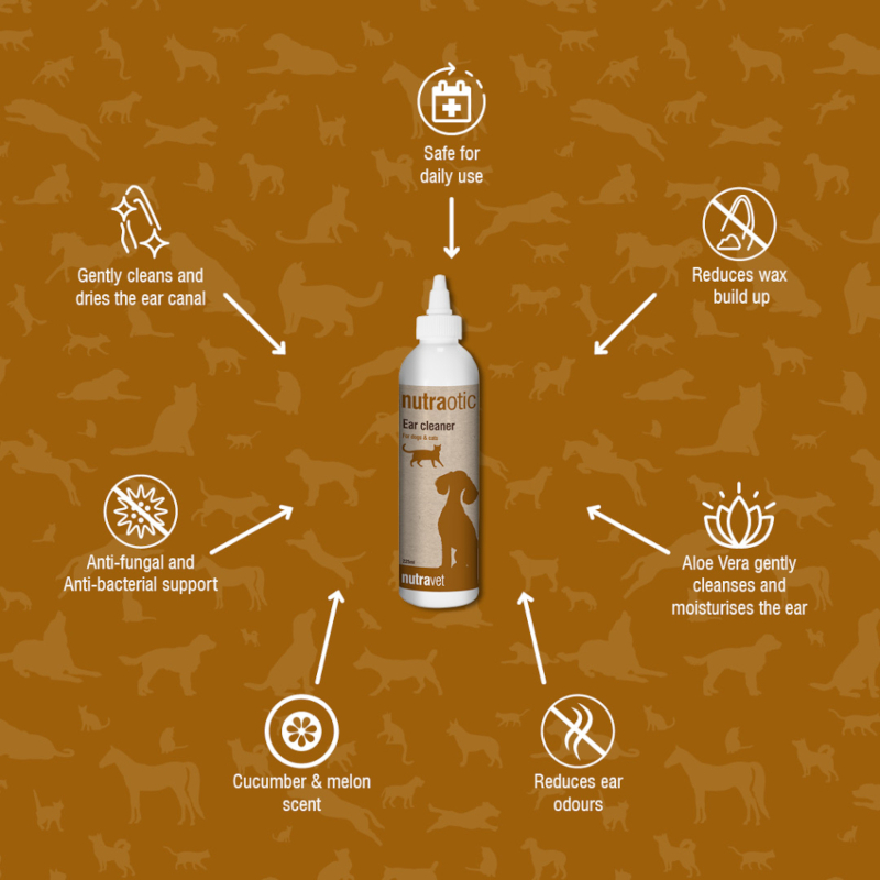 Nutraotic Ear Essential Oil 60ml - Image 2