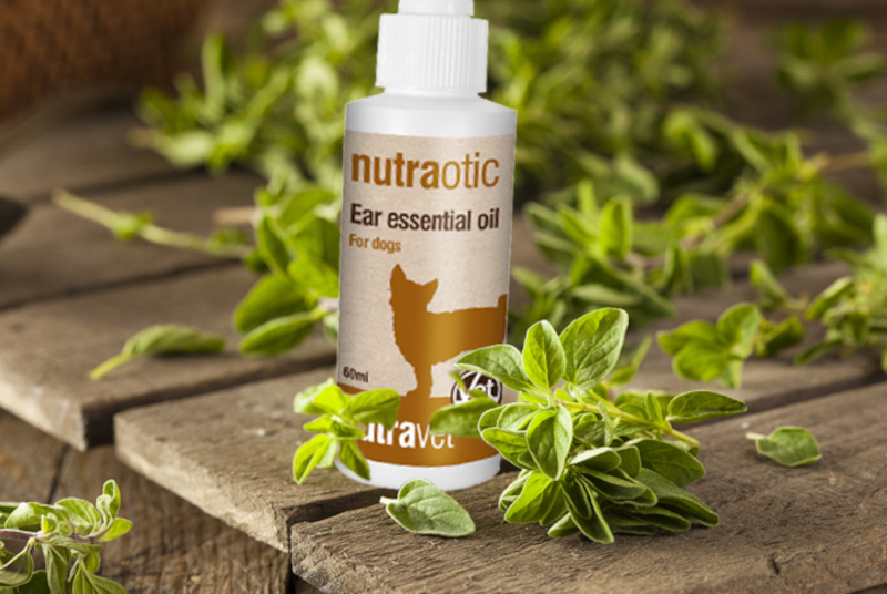 Nutraotic Ear Essential Oil 60ml - Image 3