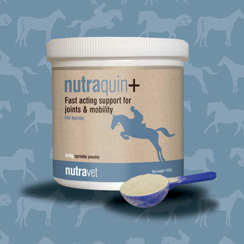 Nutraquin+ Equine 450g - Image 3