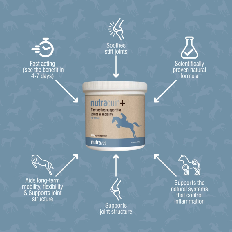 Nutraquin+ Equine 450g - Image 4