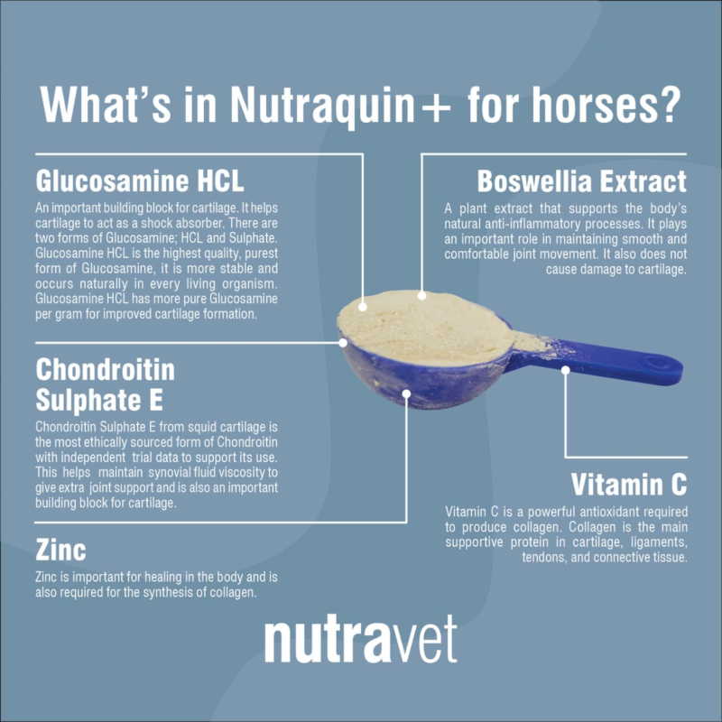Nutraquin+ Equine 450g - Image 2