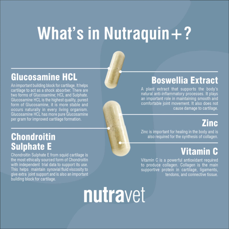 Nutraquin+ Dogs & Cats Capsules - Image 2