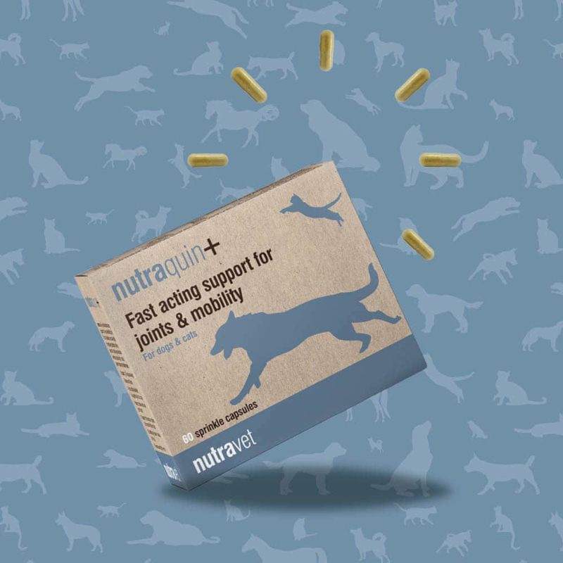 Nutraquin+ Dogs & Cats Capsules - Image 3