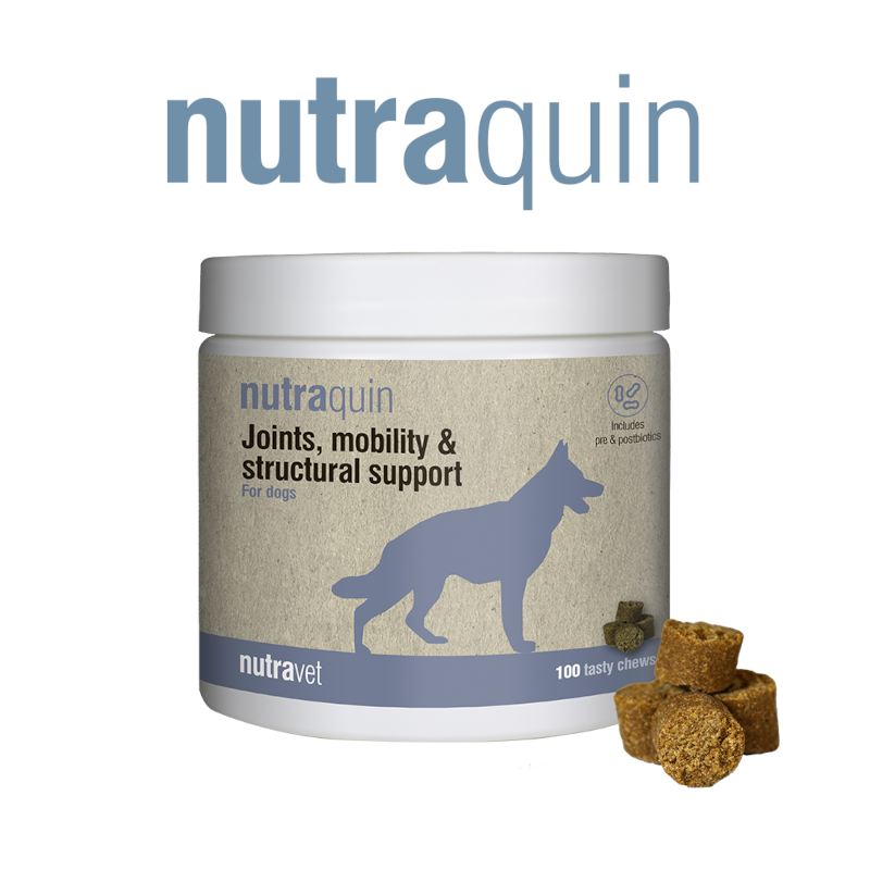 Nutraquin Dogs & Cats Chew