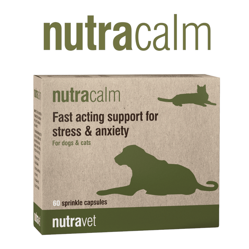 Nutracalm Dogs & Cats Capsules