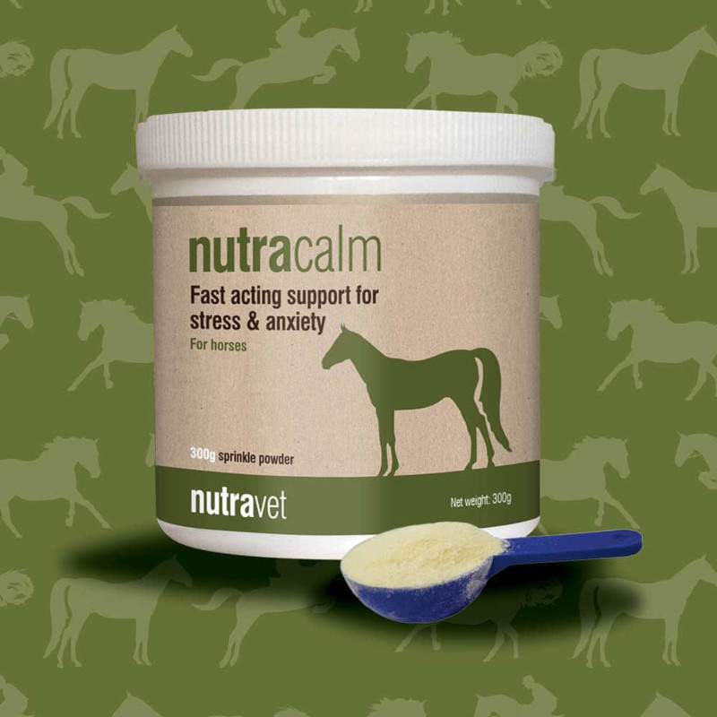 Nutracalm Equine 300g - Image 2