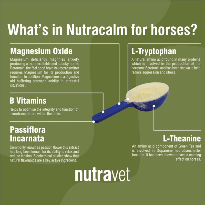 Nutracalm Equine 300g - Image 3