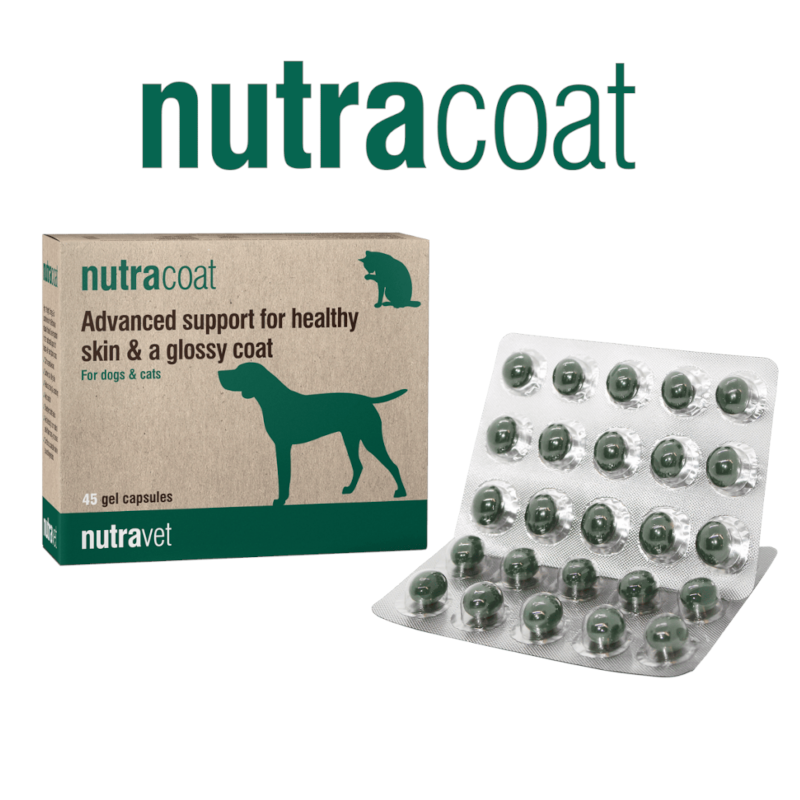 Nutracoat Dogs & Cats Capsules