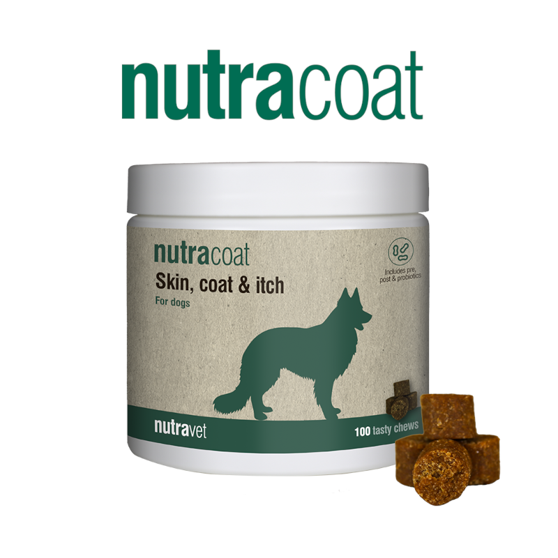 Nutracoat Dogs & Cats Chew