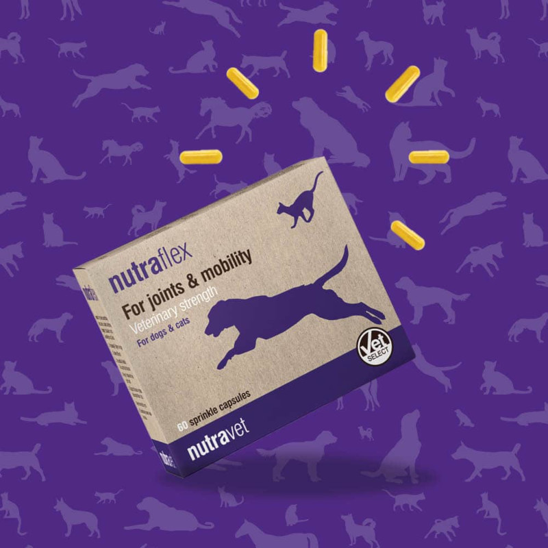 Nutraflex Dogs & Cats Capsules - Image 5