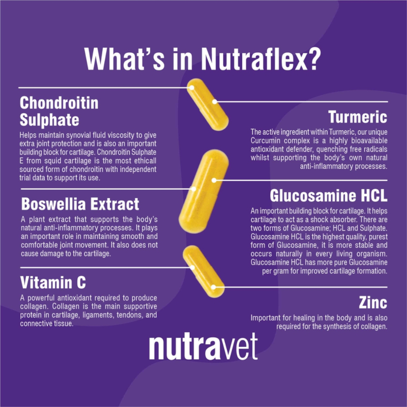 Nutraflex Dogs & Cats Capsules - Image 2