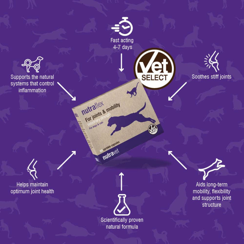 Nutraflex Dogs & Cats Capsules - Image 3